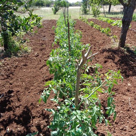 Agroturismo Na Set Centes - Adults Only Arta Exterior photo