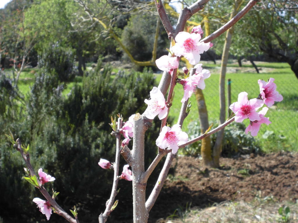 Agroturismo Na Set Centes - Adults Only Arta Exterior photo