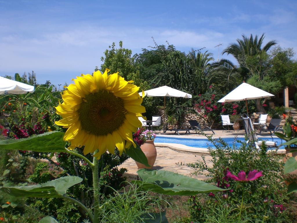 Agroturismo Na Set Centes - Adults Only Arta Exterior photo