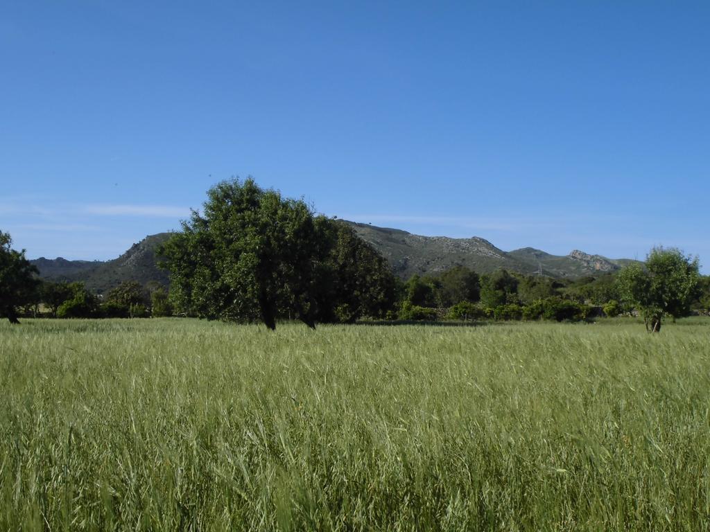 Agroturismo Na Set Centes - Adults Only Arta Exterior photo